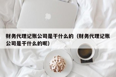 财务代理记账公司是干什么的（财务代理记账公司是干什么的呢）