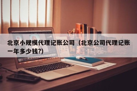 北京小规模代理记账公司（北京公司代理记账一年多少钱?）