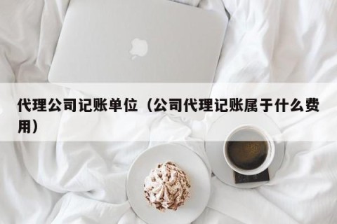 代理公司记账单位（公司代理记账属于什么费用）
