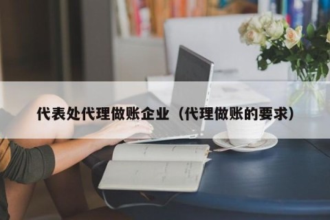 代表处代理做账企业（代理做账的要求）