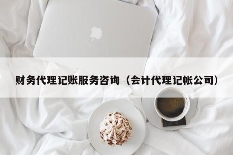 财务代理记账服务咨询（会计代理记帐公司）