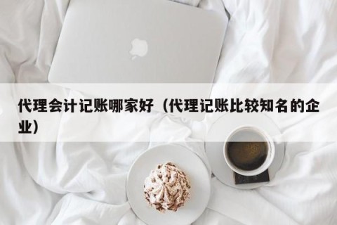 代理会计记账哪家好（代理记账比较知名的企业）