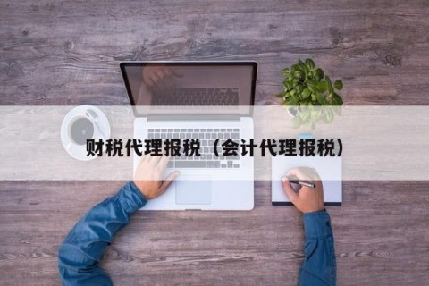财税代理报税（会计代理报税）