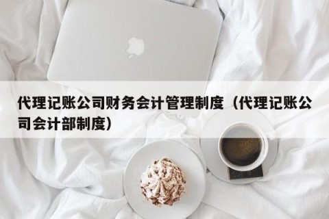 代理记账公司财务会计管理制度（代理记账公司会计部制度）
