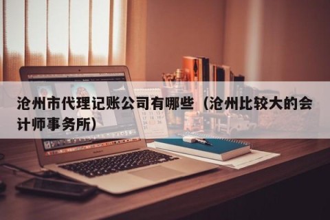 沧州市代理记账公司有哪些（沧州比较大的会计师事务所）