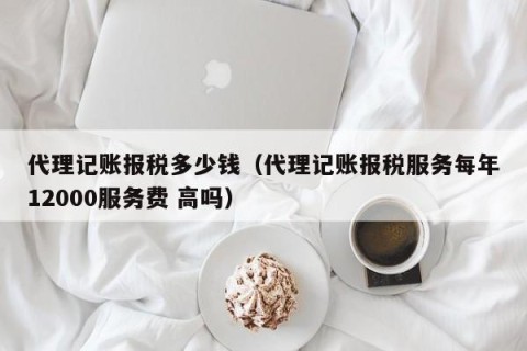 代理记账报税多少钱（代理记账报税服务每年12000服务费 高吗）