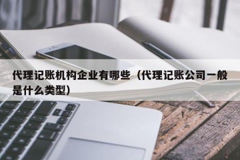 代理记账机构企业有哪些（代理记账公司一般是什么类型）
