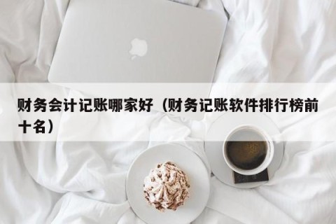 财务会计记账哪家好（财务记账软件排行榜前十名）