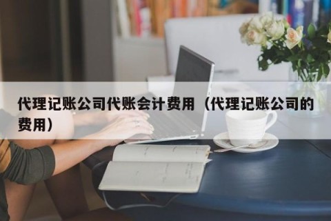 代理记账公司代账会计费用（代理记账公司的费用）