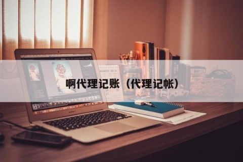 啊代理记账（代理记帐）