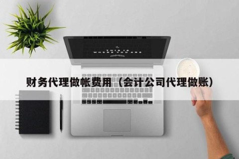 财务代理做帐费用（会计公司代理做账）