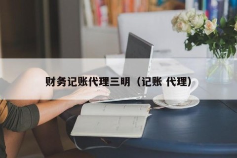 财务记账代理三明（记账 代理）
