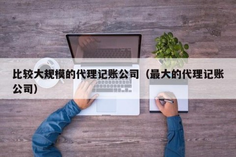 比较大规模的代理记账公司（最大的代理记账公司）