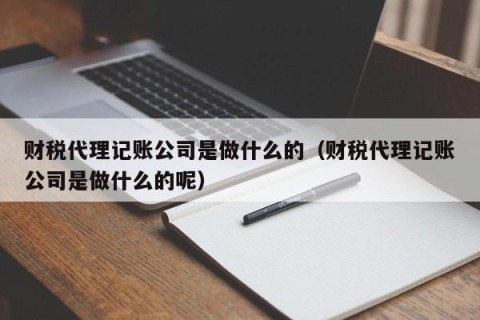 财税代理记账公司是做什么的（财税代理记账公司是做什么的呢）