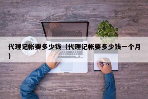 代理记帐要多少钱（代理记帐要多少钱一个月）