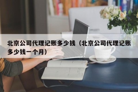 北京公司代理记账多少钱（北京公司代理记账多少钱一个月）