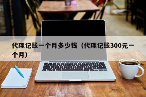代理记账一个月多少钱（代理记账300元一个月）