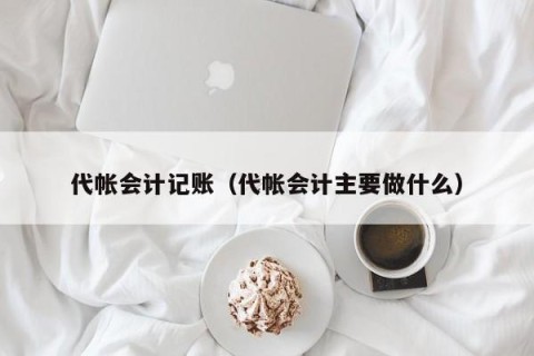 代帐会计记账（代帐会计主要做什么）