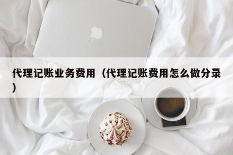 代理记账业务费用（代理记账费用怎么做分录）