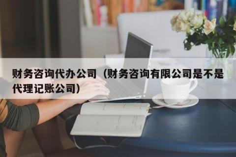 财务咨询代办公司（财务咨询有限公司是不是代理记账公司）