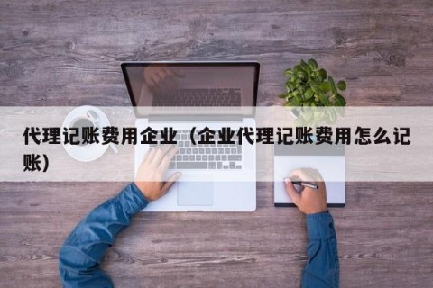 代理记账费用企业（企业代理记账费用怎么记账）