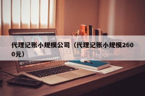 代理记账小规模公司（代理记账小规模2600元）