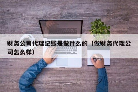 财务公司代理记账是做什么的（做财务代理公司怎么样）