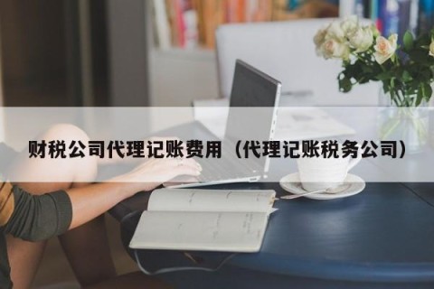 财税公司代理记账费用（代理记账税务公司）