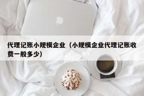 代理记账小规模企业（小规模企业代理记账收费一般多少）