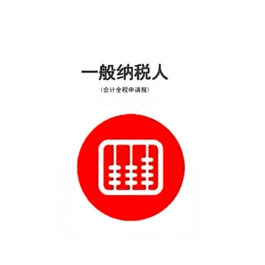 代理记账一般纳税人申报