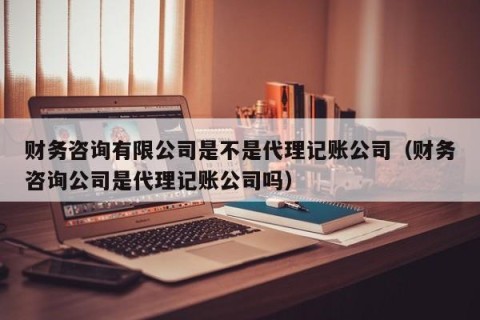 财务咨询有限公司是不是代理记账公司（财务咨询公司是代理记账公司吗）