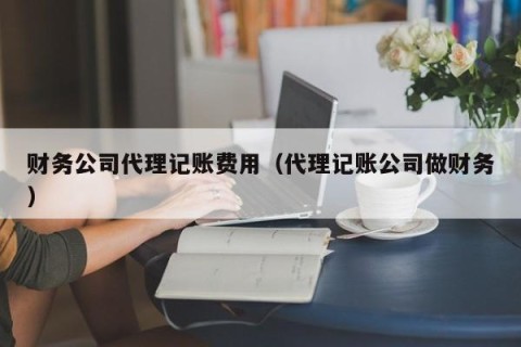 财务公司代理记账费用（代理记账公司做财务）