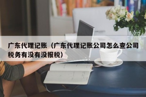 广东代理记账（广东代理记账公司怎么查公司税务有没有没报税）