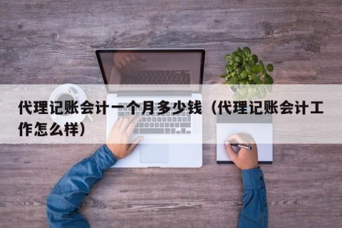 代理记账会计一个月多少钱（代理记账会计工作怎么样）