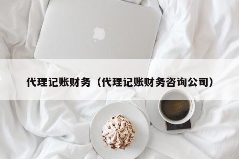代理记账财务（代理记账财务咨询公司）