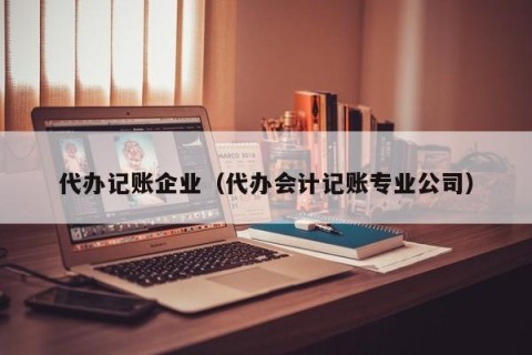 代办记账企业（代办会计记账专业公司）