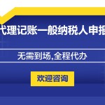 代理记账一般纳税人申报-缩略图1