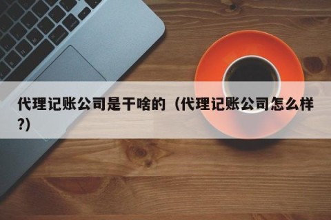 代理记账公司是干啥的（代理记账公司怎么样?）
