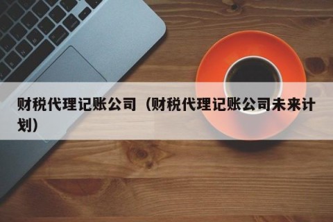 财税代理记账公司（财税代理记账公司未来计划）