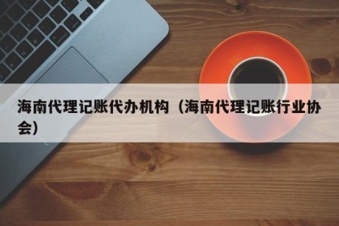 海南代理记账代办机构（海南代理记账行业协会）