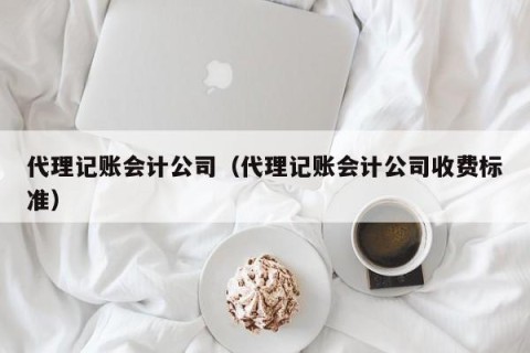 代理记账会计公司（代理记账会计公司收费标准）