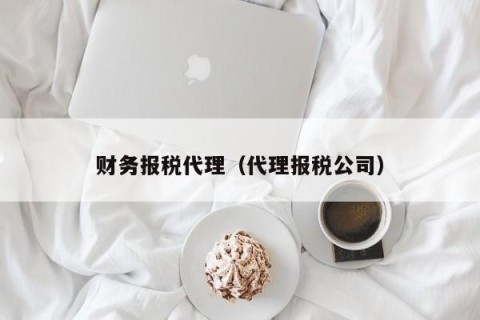 财务报税代理（代理报税公司）