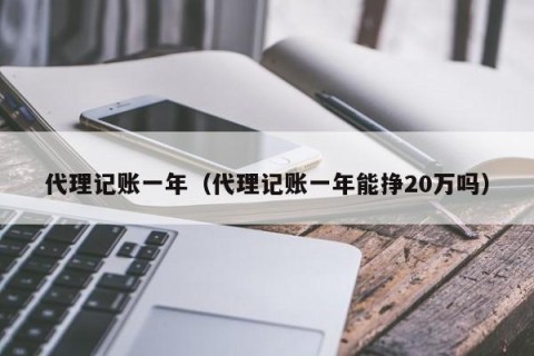代理记账一年（代理记账一年能挣20万吗）