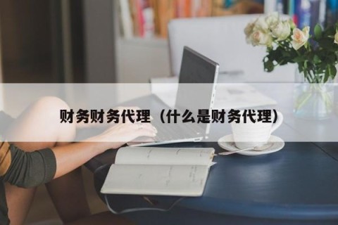 财务财务代理（什么是财务代理）