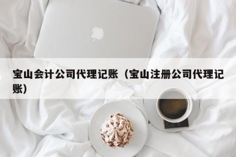 宝山会计公司代理记账（宝山注册公司代理记账）