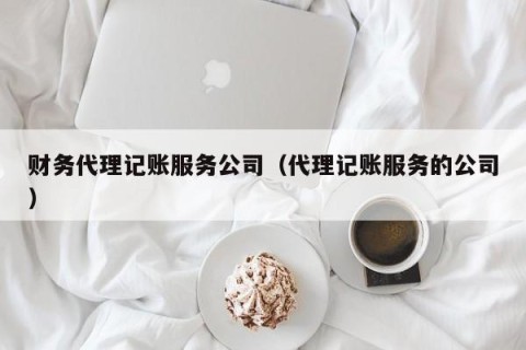 财务代理记账服务公司（代理记账服务的公司）