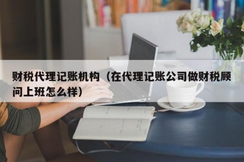 财税代理记账机构（在代理记账公司做财税顾问上班怎么样）