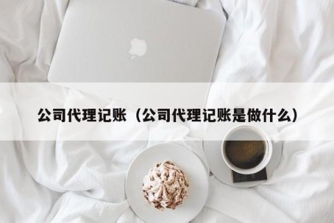 公司代理记账（公司代理记账是做什么）