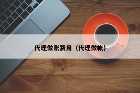 代理做账费用（代理做帐）