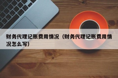 财务代理记账费用情况（财务代理记账费用情况怎么写）